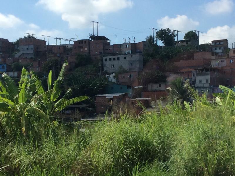 Favelas: which are poverty-stricken neighborhoods