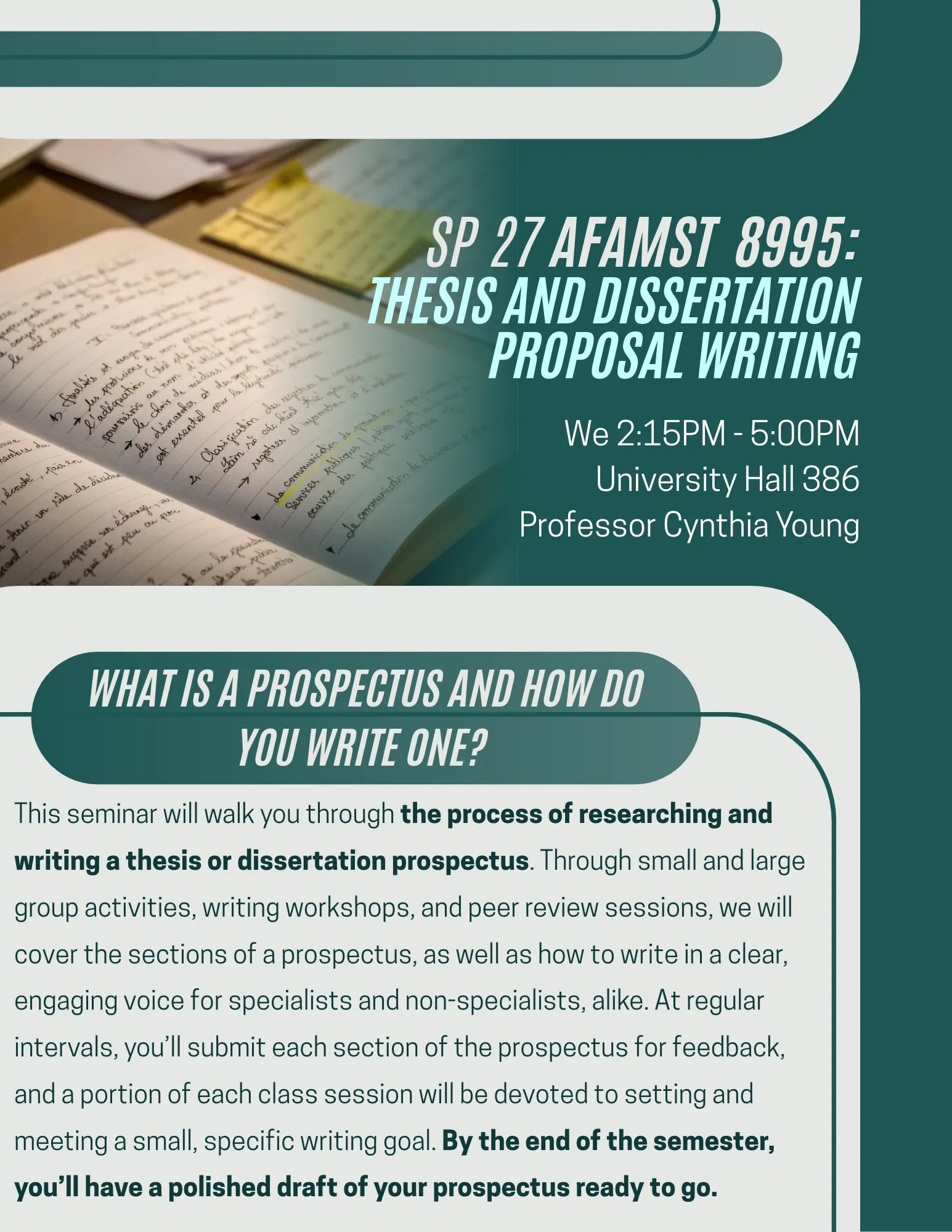 Course flyer for AFAMST 8995.