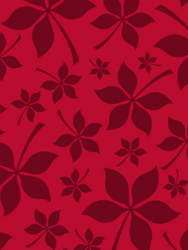 This a print picture of buckeye leaves in all red